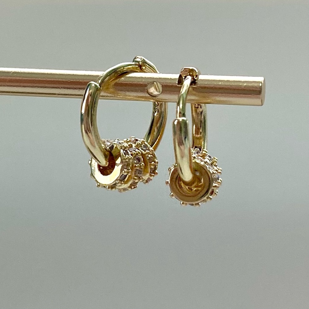 Elegant Gold Hoop Earrings